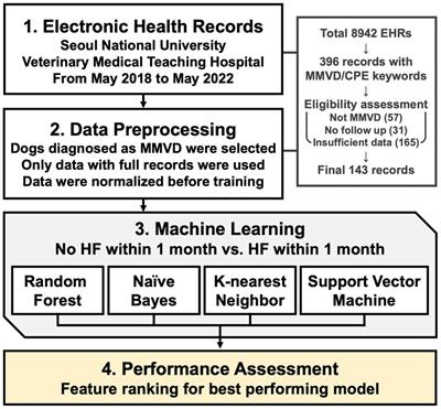 Machine learning-based risk prediction model for canine myxomatous mitral valve disease using electronic health record data